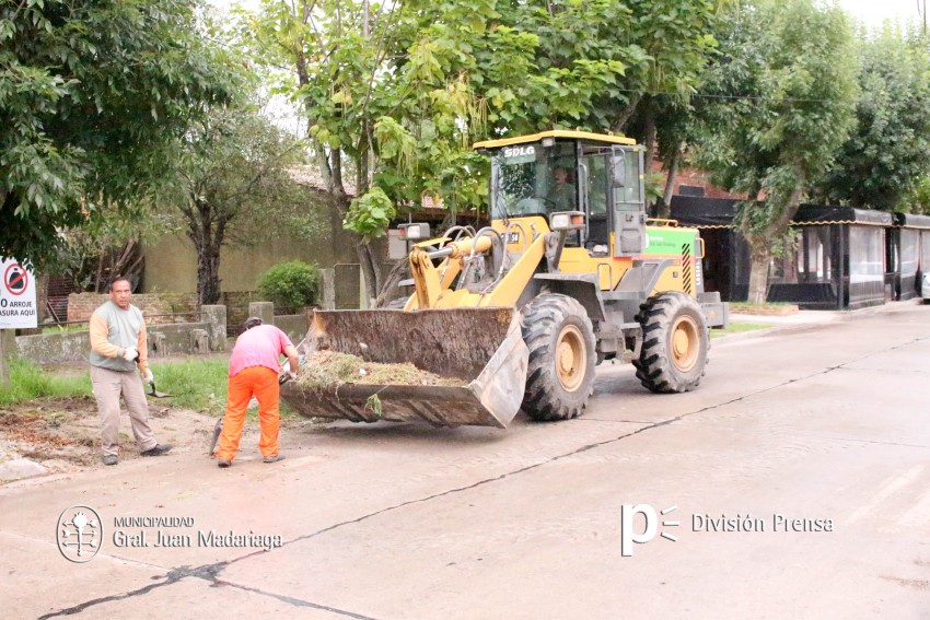 El rea del corraln municipal  dividi sus tareas para optimizar el t