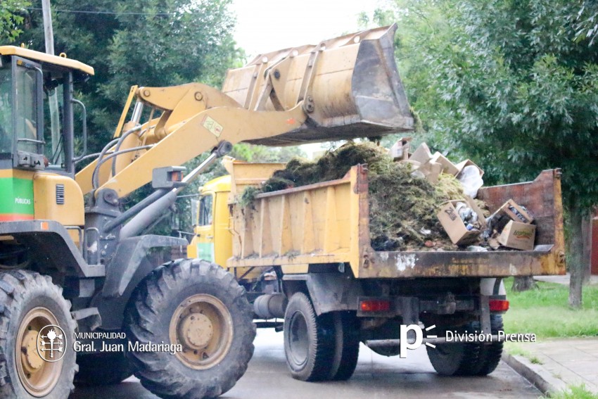 El rea del corraln municipal  dividi sus tareas para optimizar el t