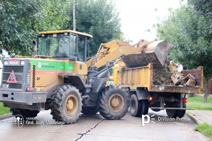 El rea del corraln municipal  dividi sus tareas para optimizar el t
