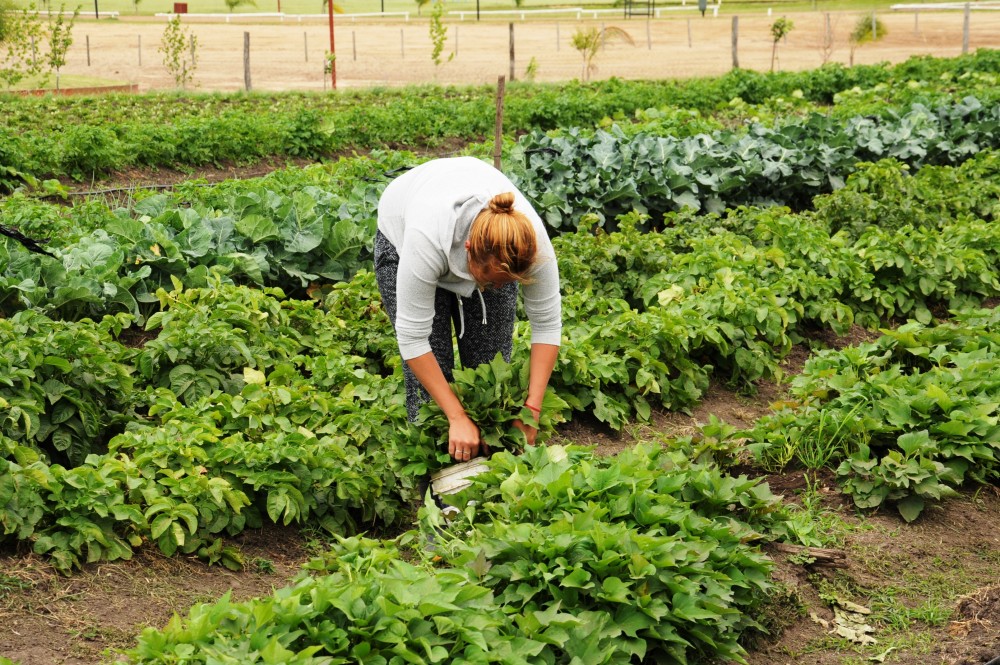 Mujer en la huerta