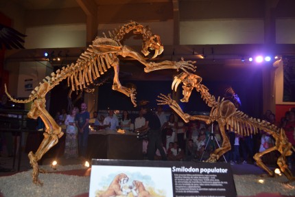 Inaugur la muestra de los Tigres dientes de sable