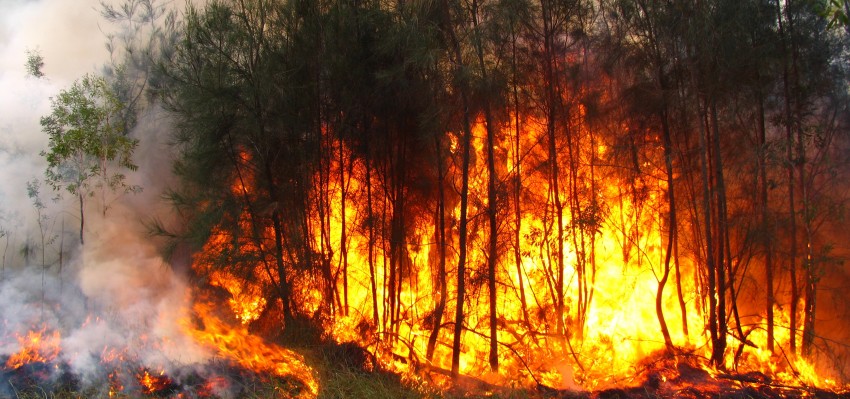 incendio forestal