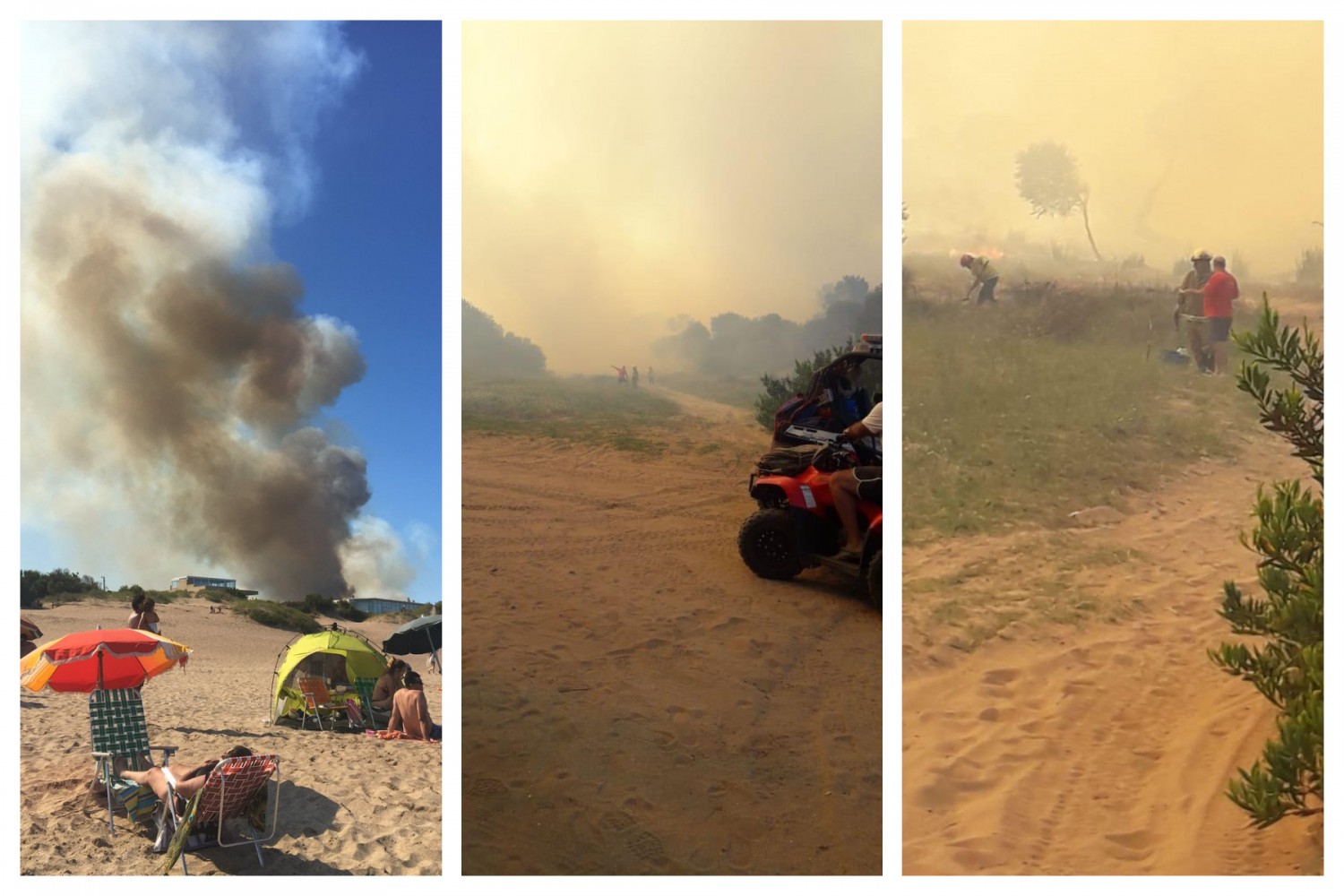 Incendio Villa Gesell Forestal