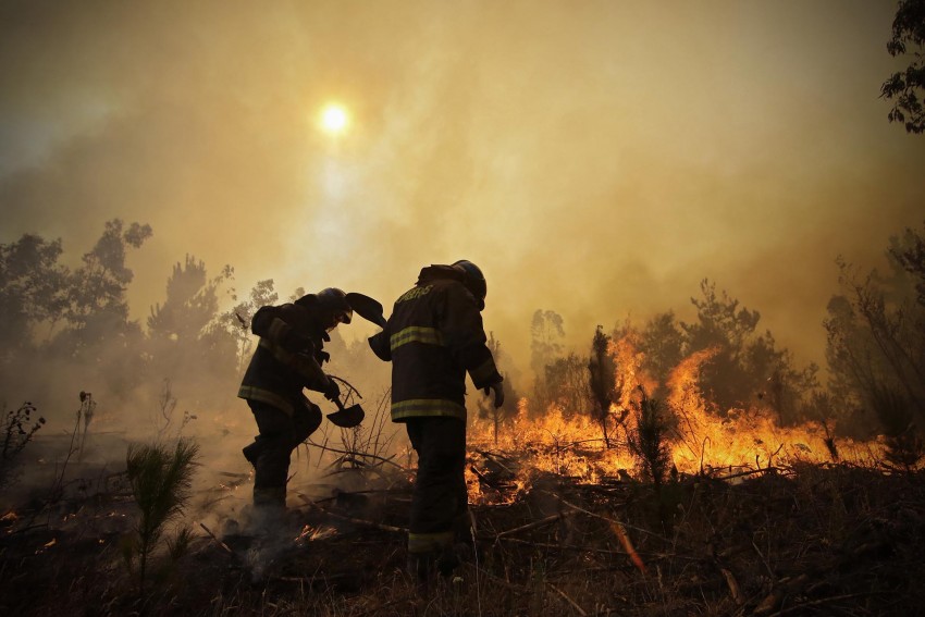 incendios forestales