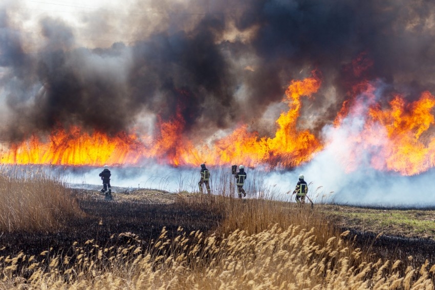 incendios