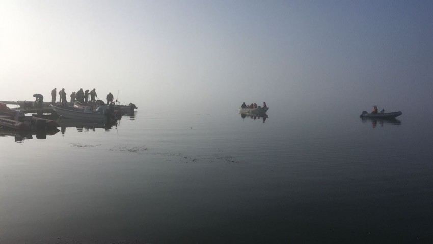 laguna los horcones niebla