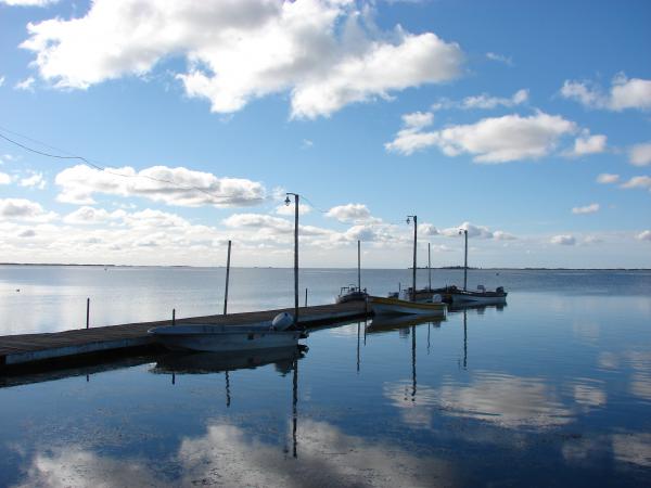 laguna los horcones