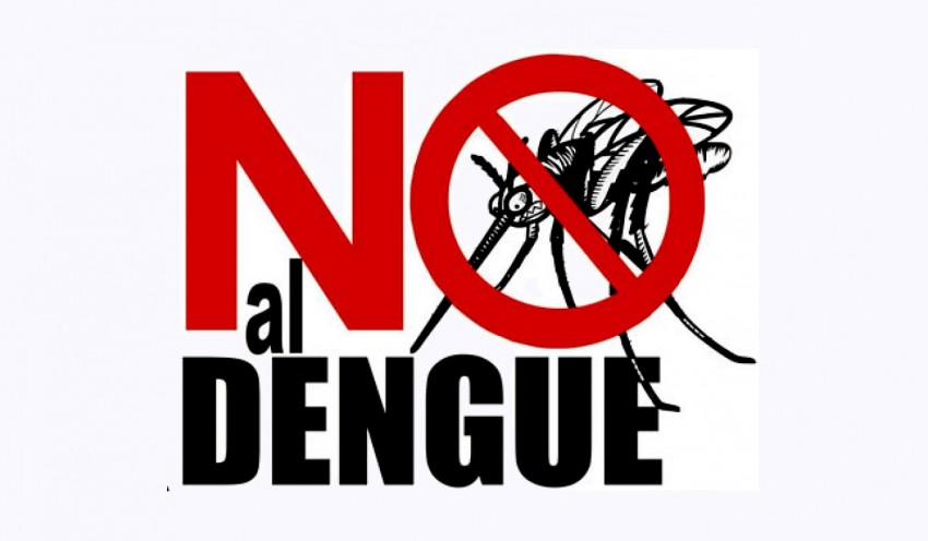 no al dengue