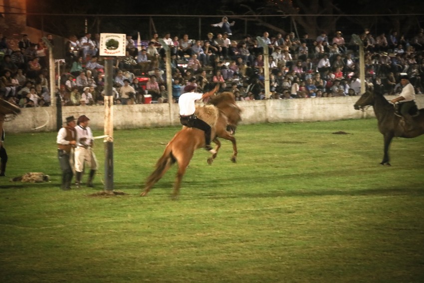 noches camperas