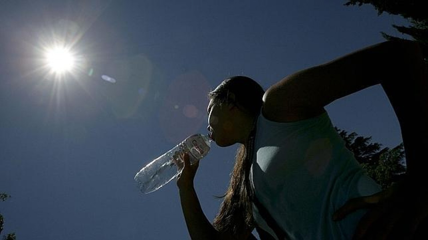 Ola de calor