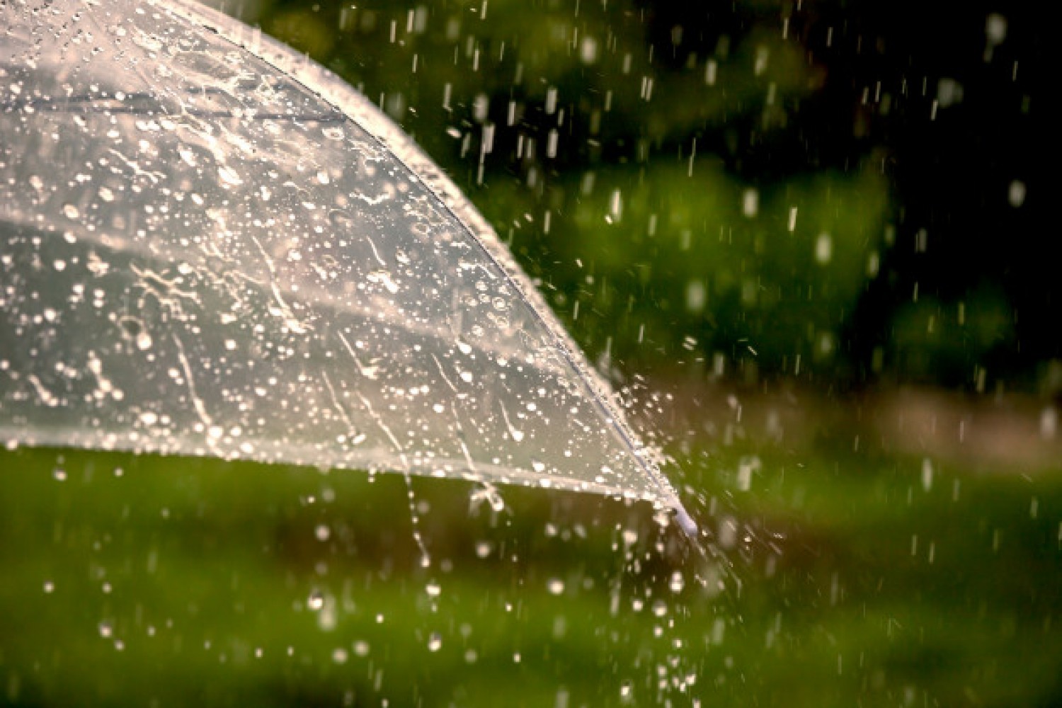 paraguas-lluvia