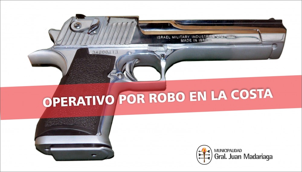 Placa pistola