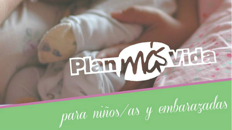 Plan ms vida