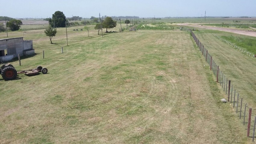 tareas en el circuito