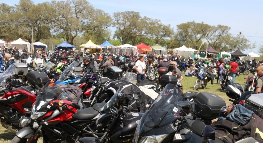 10� Motoasado 2026