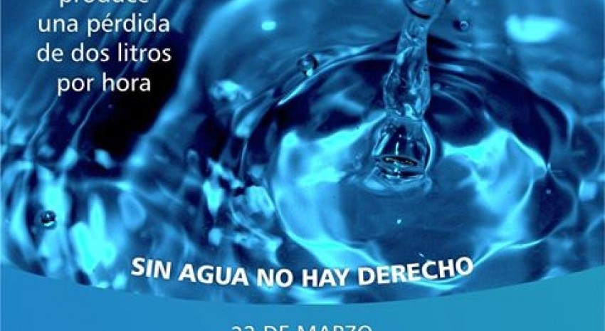 Un da para reflexionar sobre la importancia del agua