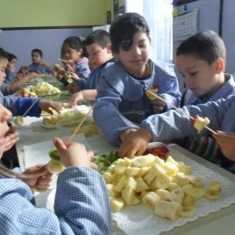 Taller de alimentacin saludable