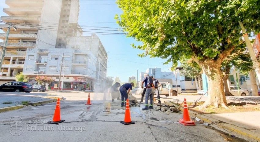 bacheo