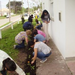 Que florezcan mil flores