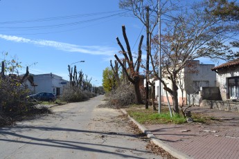 Cronograma de podas