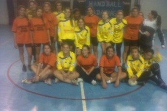 Liga femenina de handball