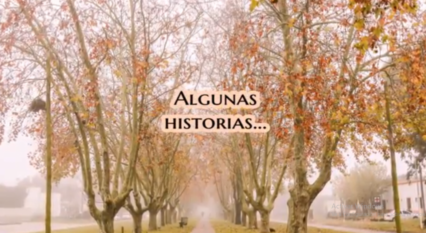 algunas historias