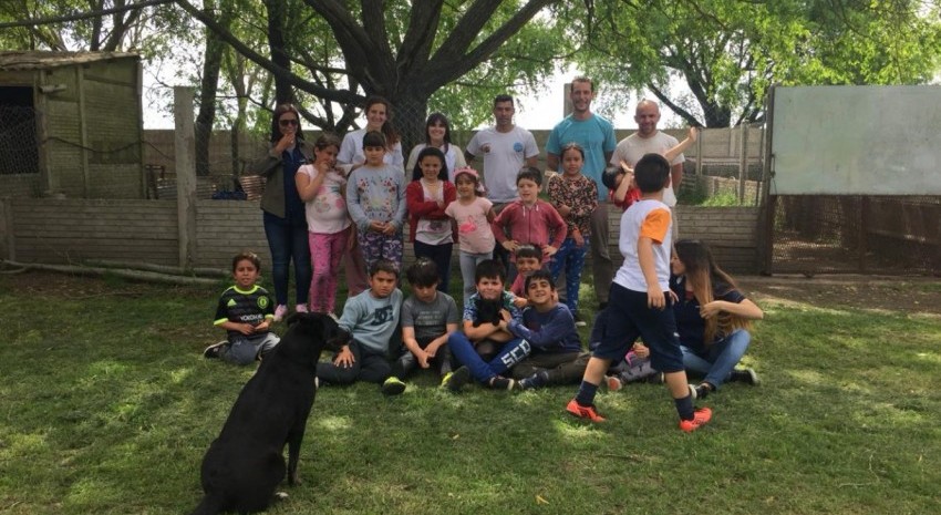 animales