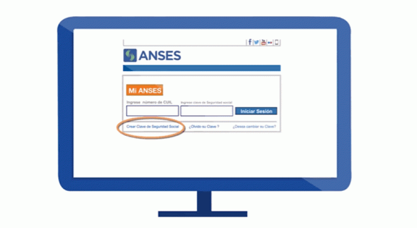 anses