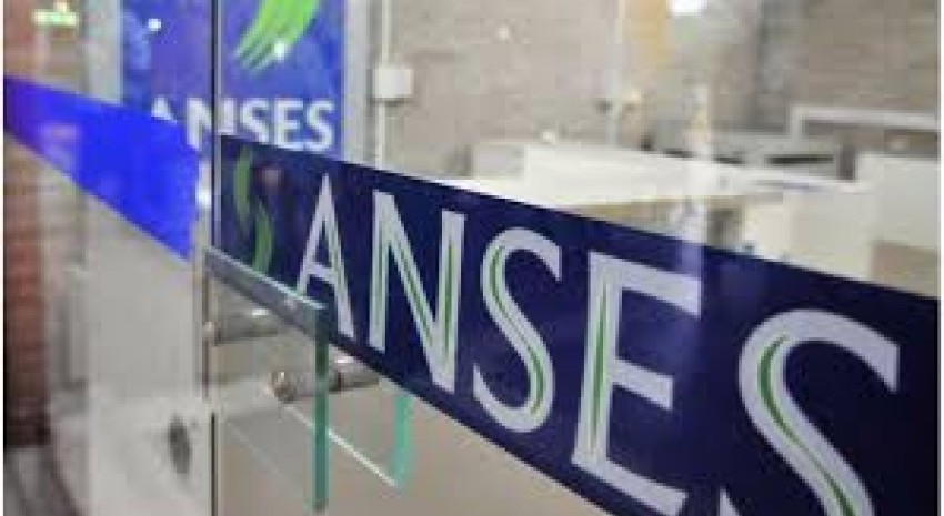 anses