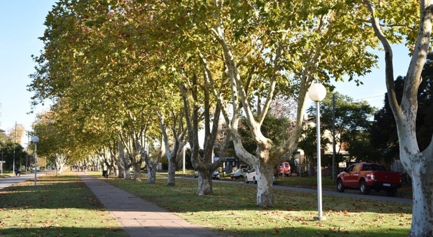 avenida buenos aires