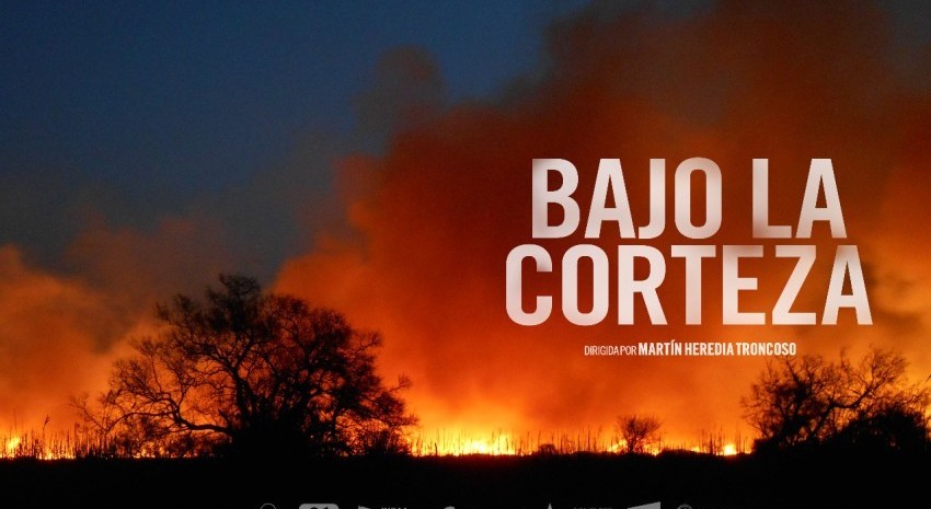 bajo la corteza