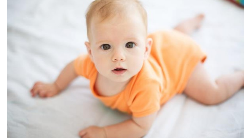 bebe