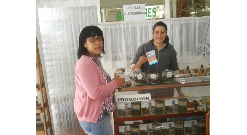 bolsa empleo