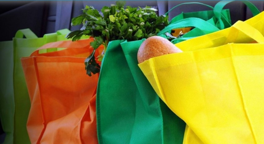 bolsas alimentos