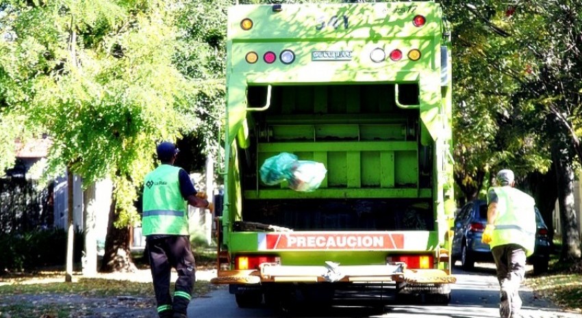 bolsas verdes