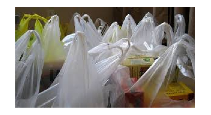 bolsas