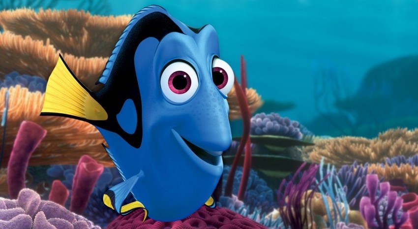 buscando a dory