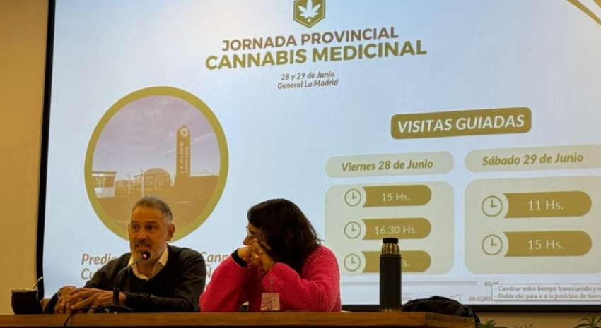 cannabis