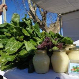 Verduras de la huerta y huevos de campo