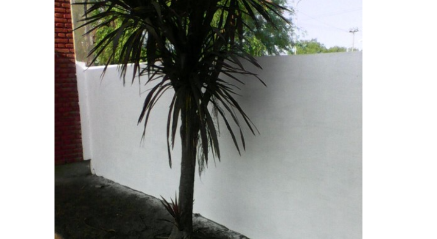 cementerio