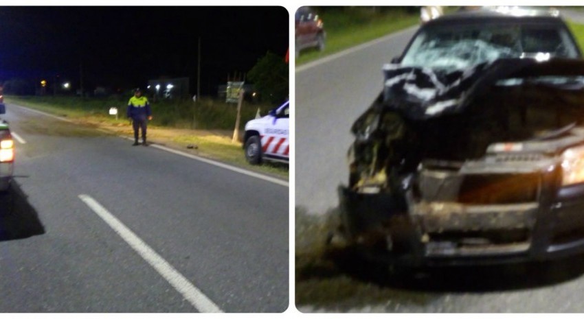 choque auto caballo madariaga