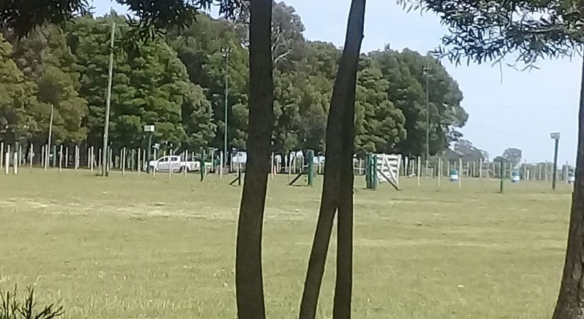 cientifica policia