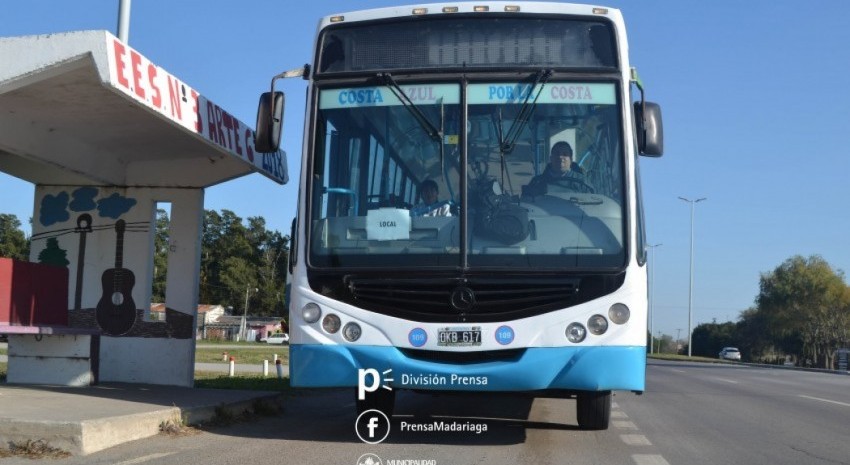 Colectivo local