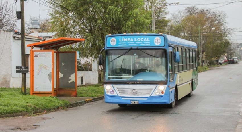 colectivo local