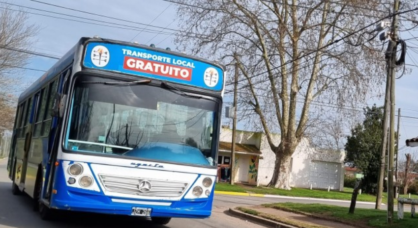 colectivo local