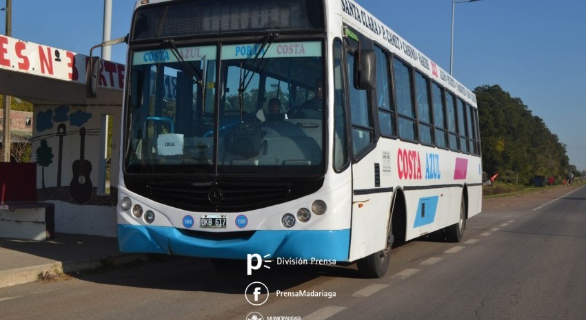 colectivo