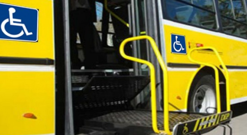colectivo