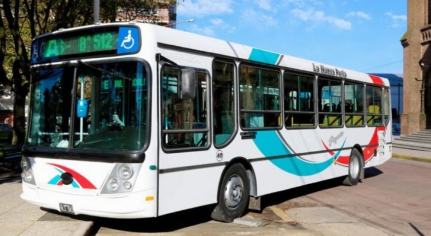 colectivo