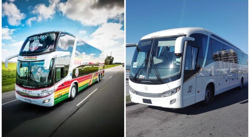 colectivos