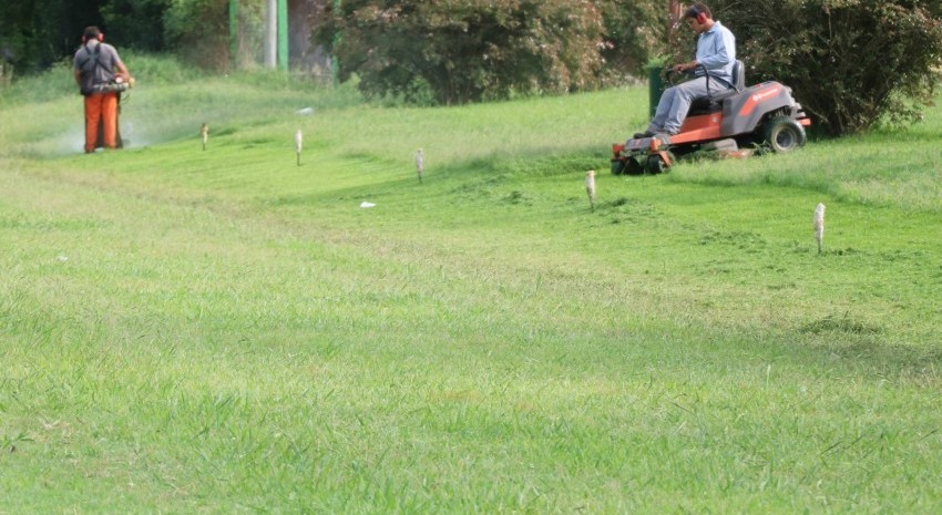 corte de pasto